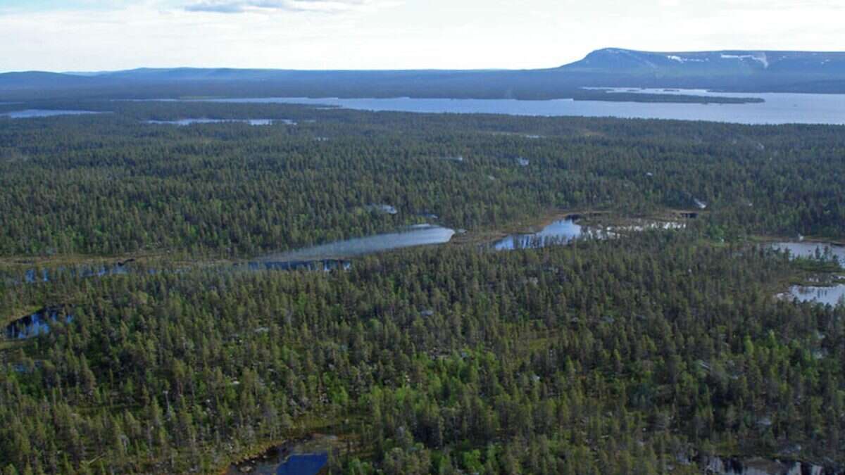 Flygbild över Arjeplogs vildmark med sjöar